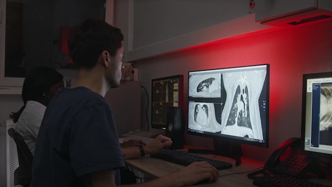 create 3d printable stl models from dog ct or mri scans
