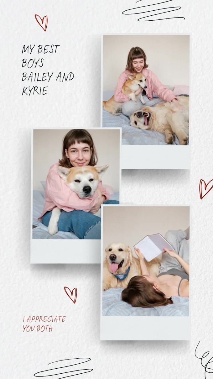 background change and photo editing