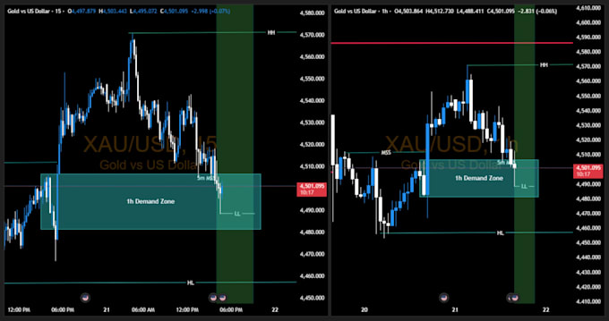 provide technical analysis and setups for forex trading