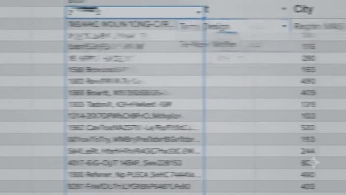 professionally clean, format, and organize excel or CSV data