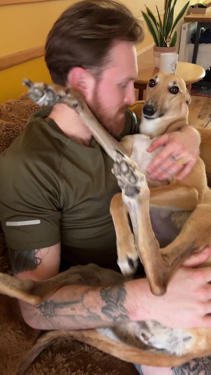 create a dog ugc video