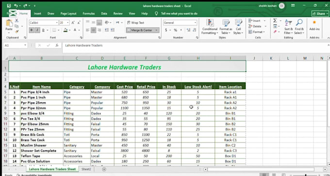 clean, format, and orgnized your excel data professionaly