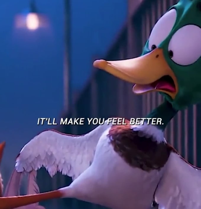 do video subtitles for the proposed language