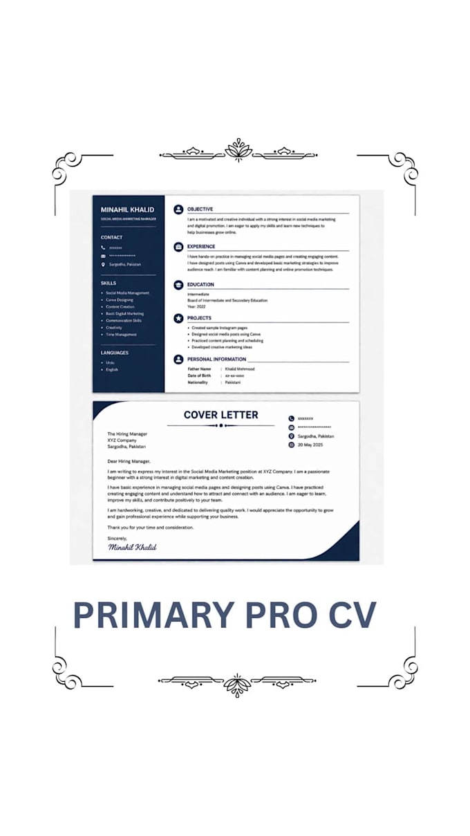 create modern CV and professional resume