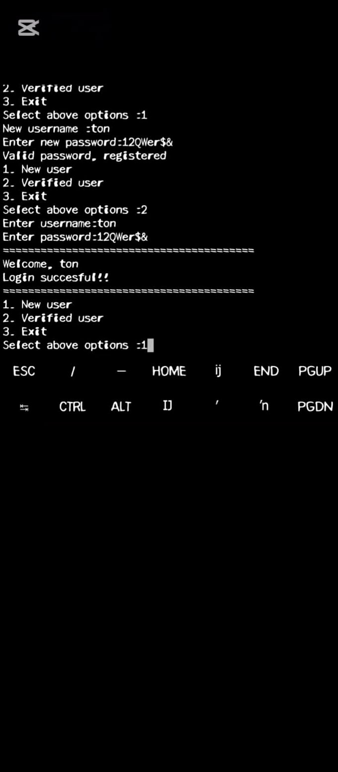 build python scripts and python automations