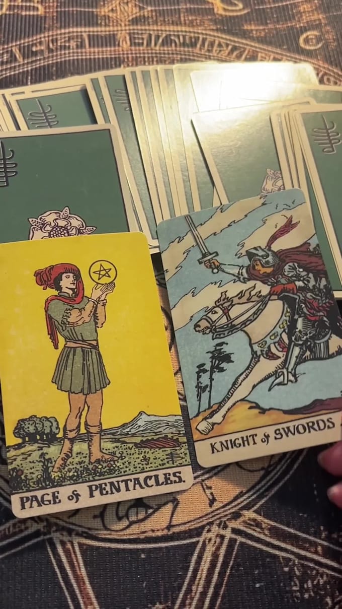 do a future partner tarot reading in 24 hours
