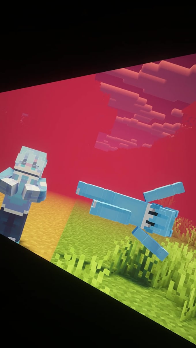 make professional minecraft animations