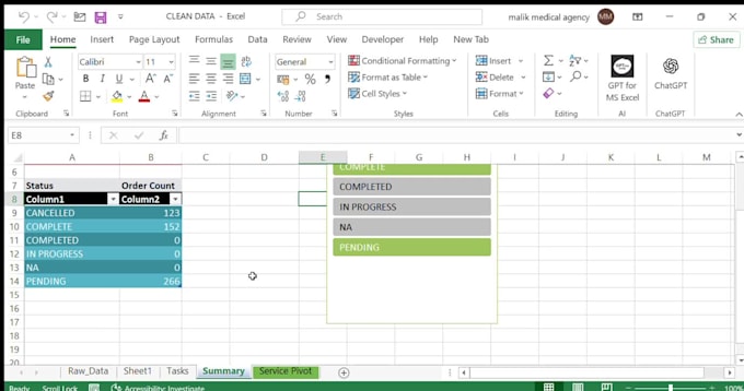 clean format and organize your excel data