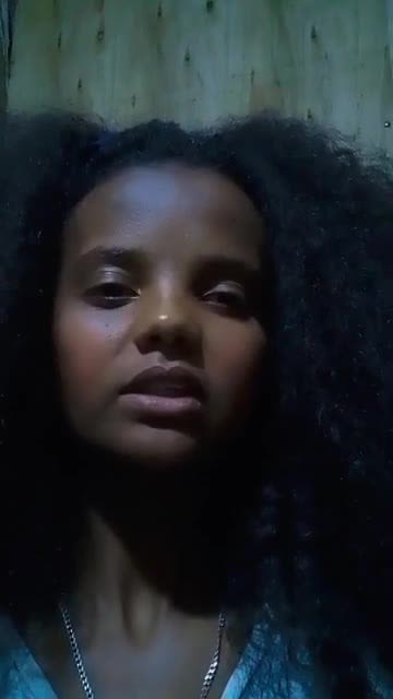 translate between amharic, oromo and english professionally