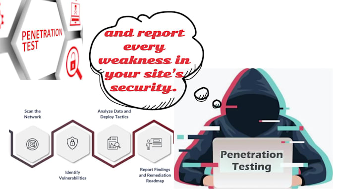 do penetration testing and vulnerability assessment on your website