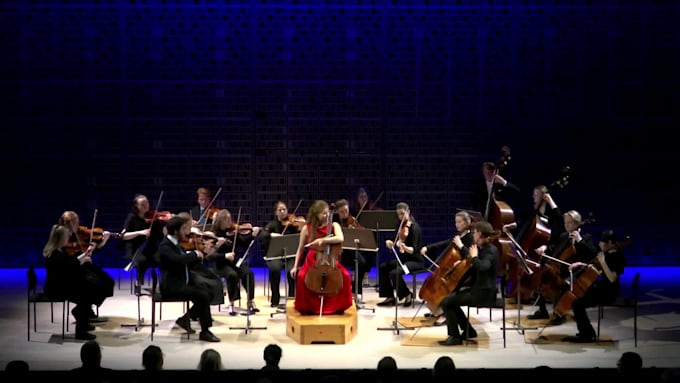 string orchestra for you