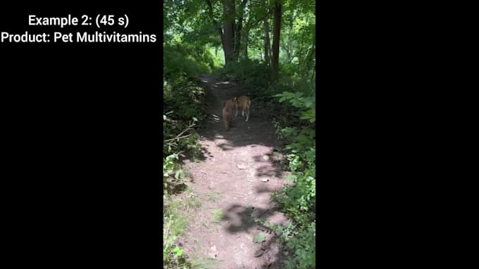 create authentic ugc pet content with real dogs