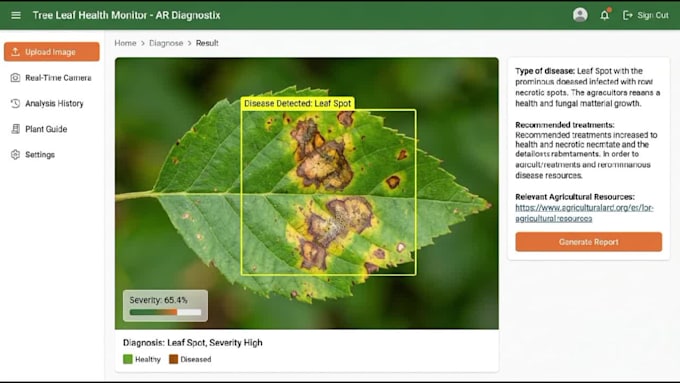 develop computer vision and image classification, ocr system