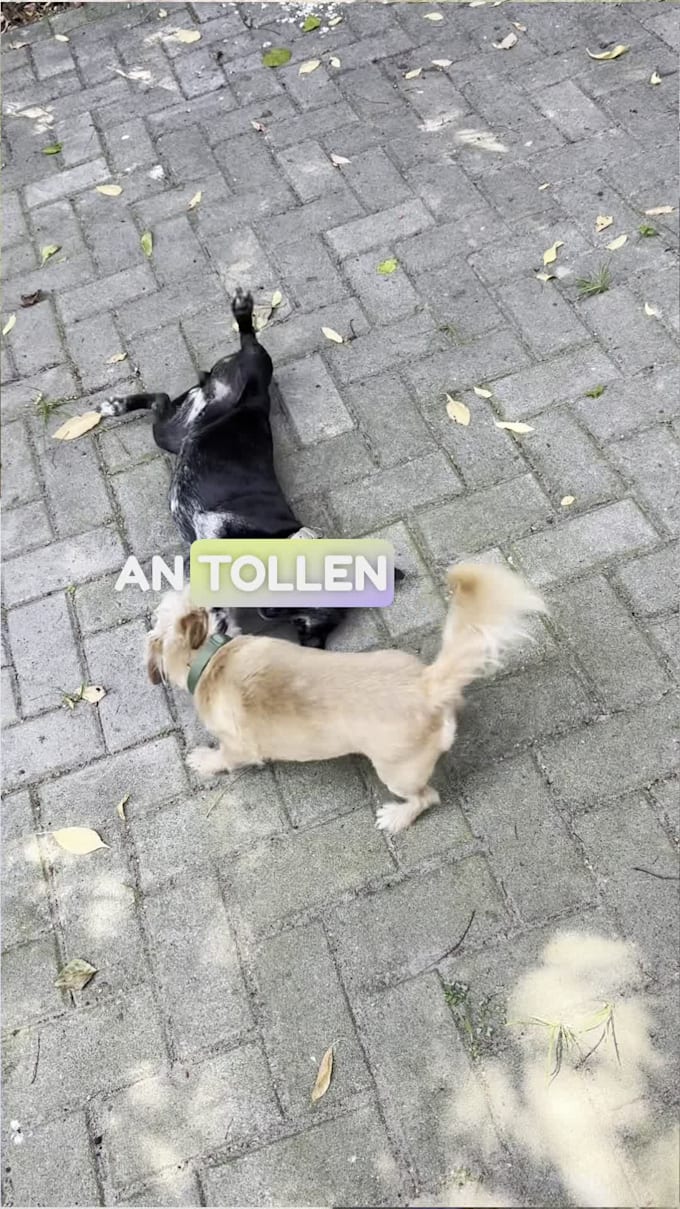 authentic ugc content creation