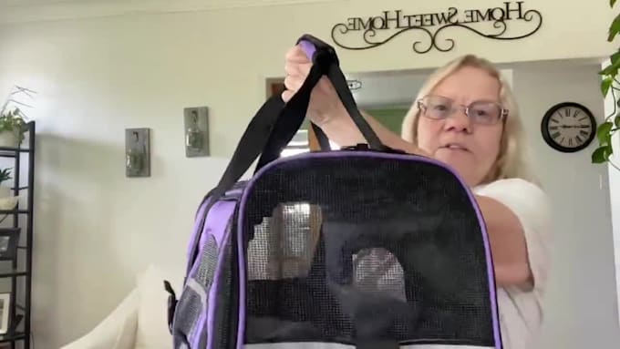 make an engaging ugc video for a dog water bottle