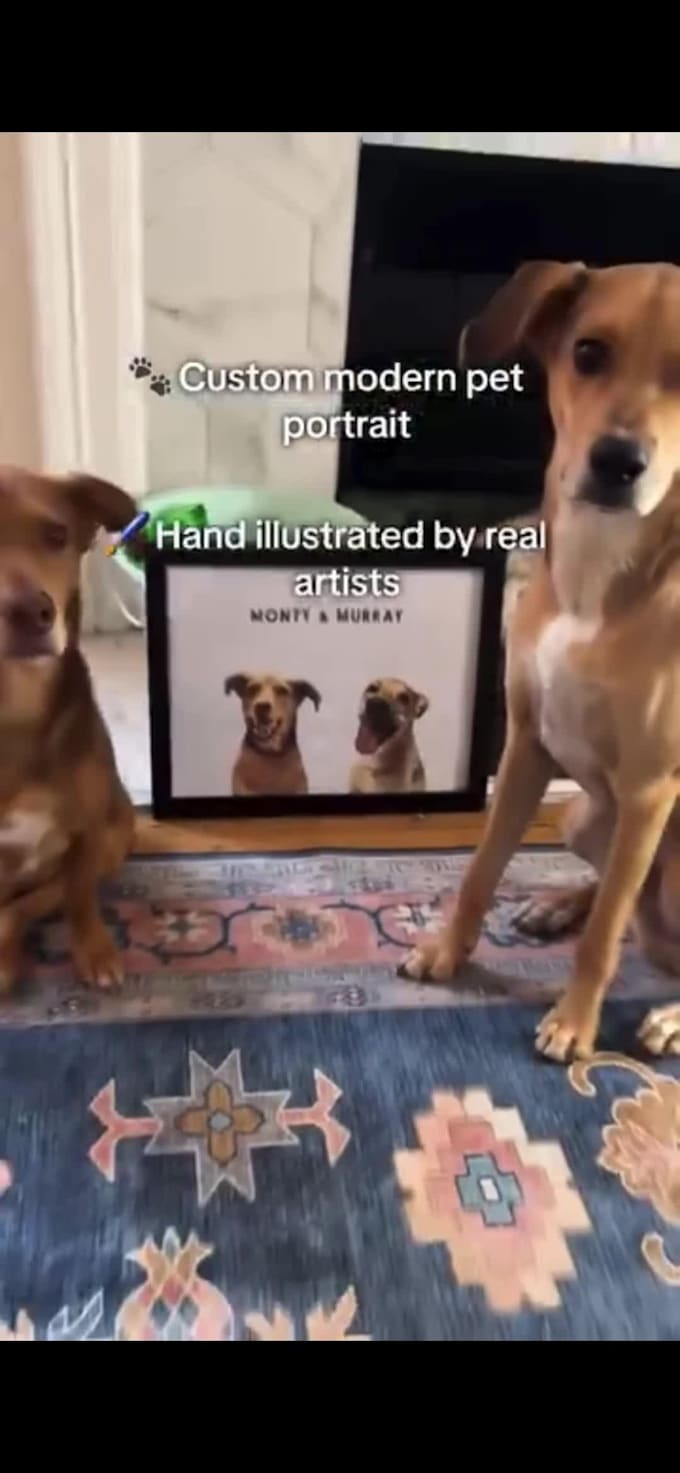pet ugc video with my yorkiepoo for pet brands and products