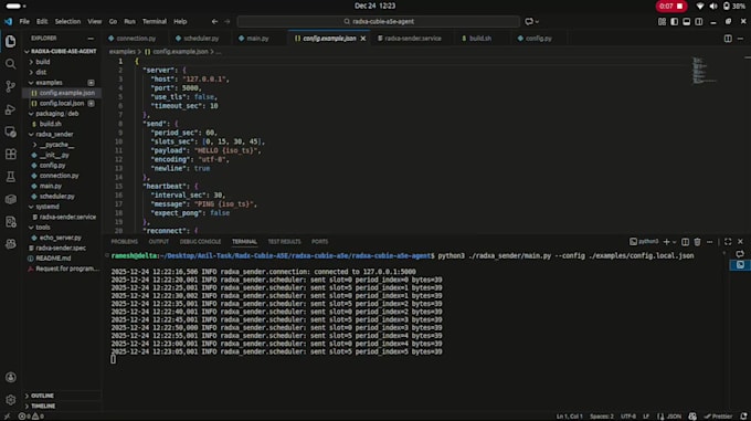do socket programming and networking tcp udp in c, cpp, java, python javascript