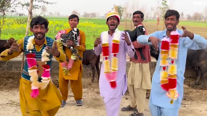 wish happy birthday video