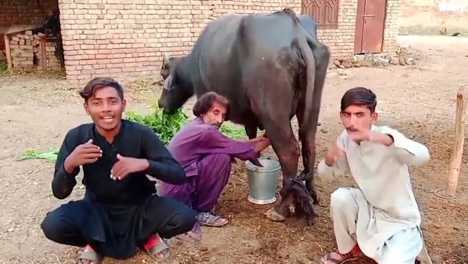 wish happy birthday video