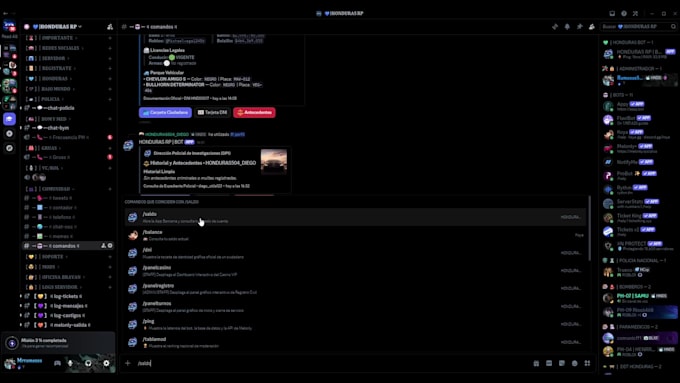 create a custom discord bot in python or java
