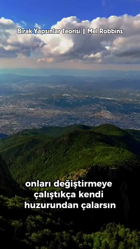 provide a professional turkish voice over