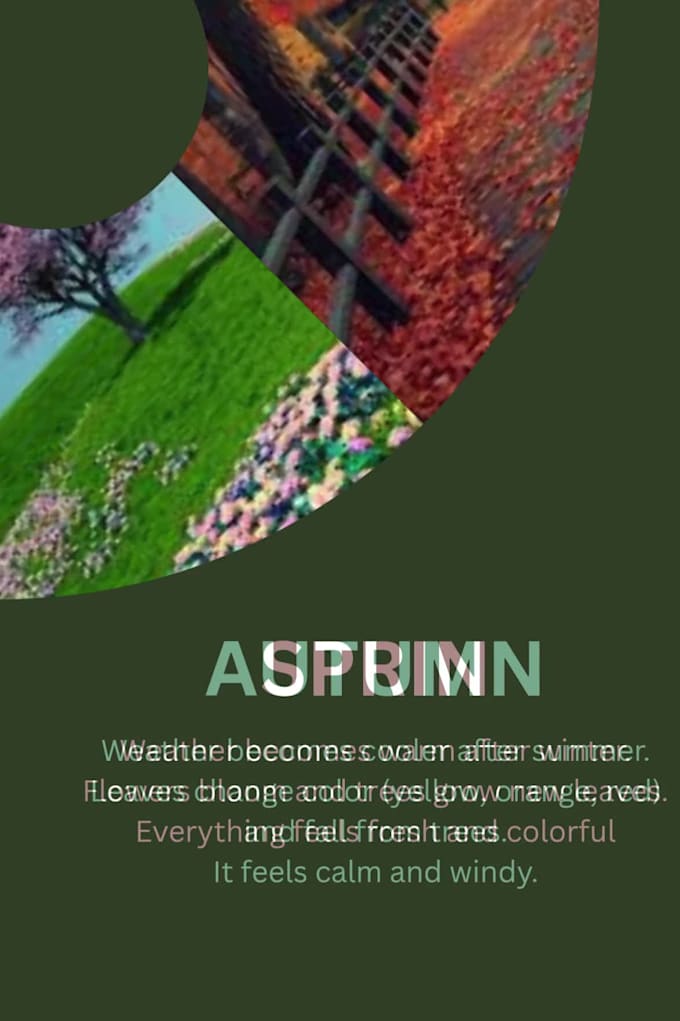 design a professional poster in canva