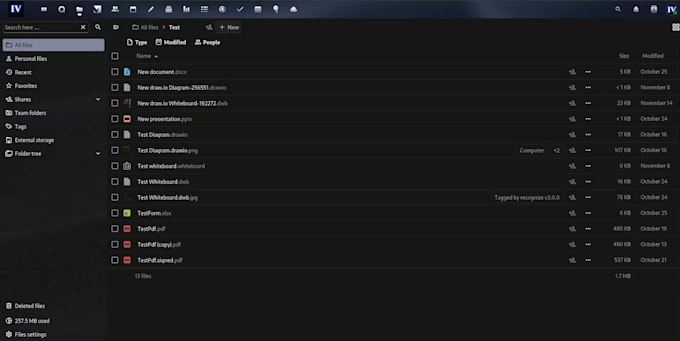 set up nextcloud with CRM, build websites, and manage typo3 cms