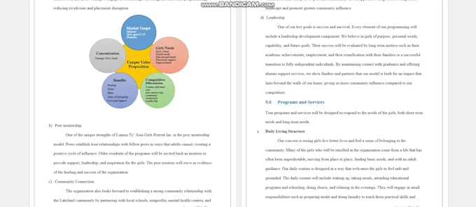 write detailed business plans