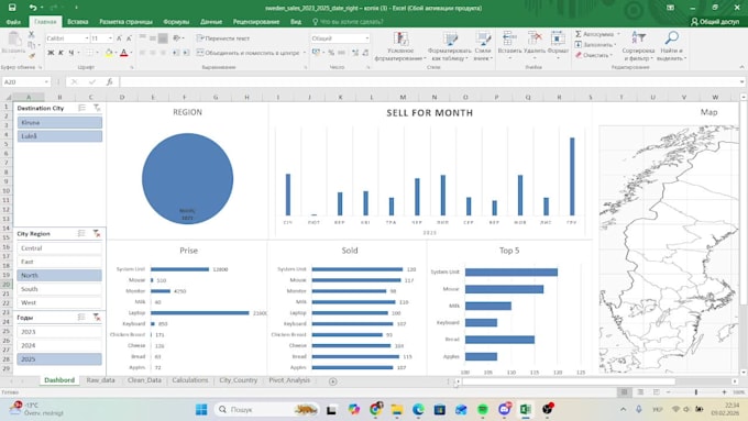 excel data processing expert