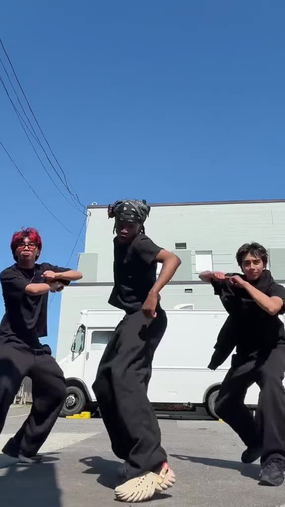 do viral tiktok dance, challenge dance, video dance, group video