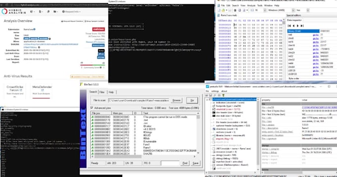 analyze suspicious files and detect security threats