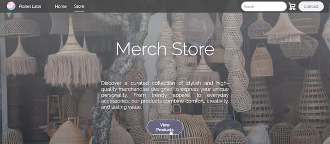 build a custom website