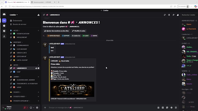 create a professional discord server with a custom bot