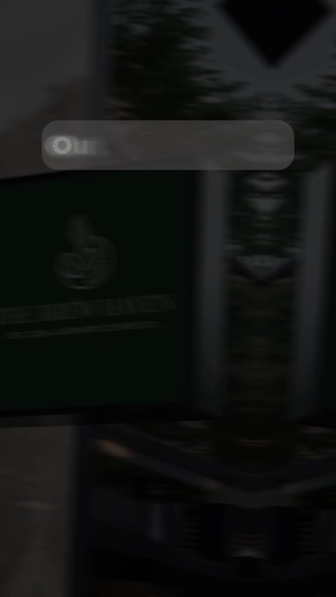 create professional aesthetic brand promo videos