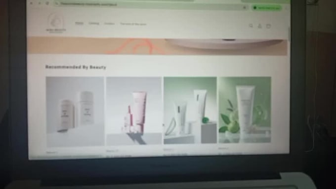 design a professional shopify store