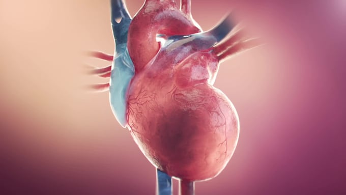 do 3d medical animation cardiac flow therapy 3d moa educational explainer video