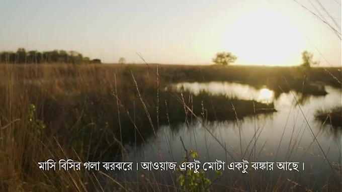 do bengali voice over and translation