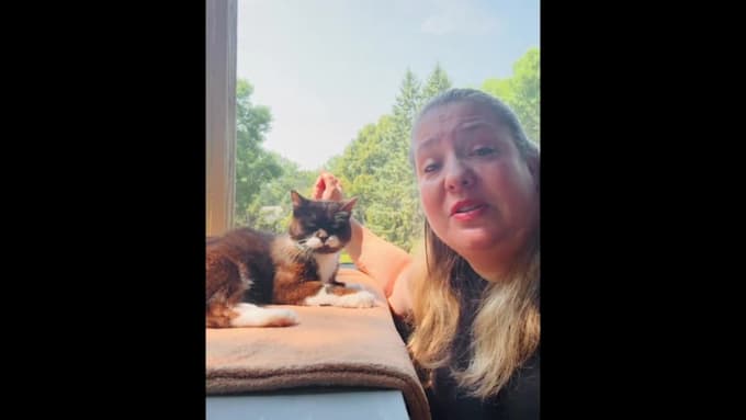 create scroll stopping ugc for cat brands and more