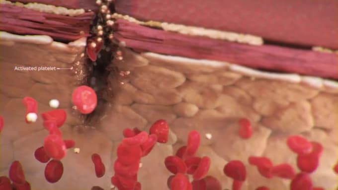 create professional 3d biotech pharmaceutical and medical animation video