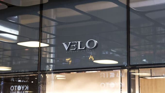 do professional logo design, wordmark, and lettermark