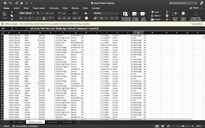 do expert statistical data analysis and professional reports