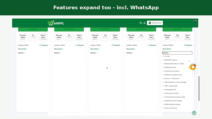 build a custom membership plan system for your classified website