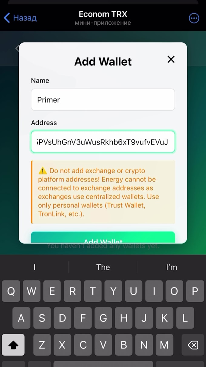 develop custom telegram bot or mini app with python API