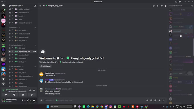 professionally design and set up a custom discord server