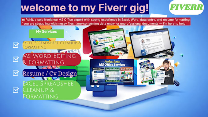 do professional data entry, ms excel and ms word work