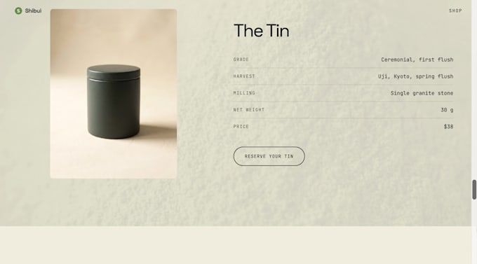 design a custom website with ai generated cinematic visuals
