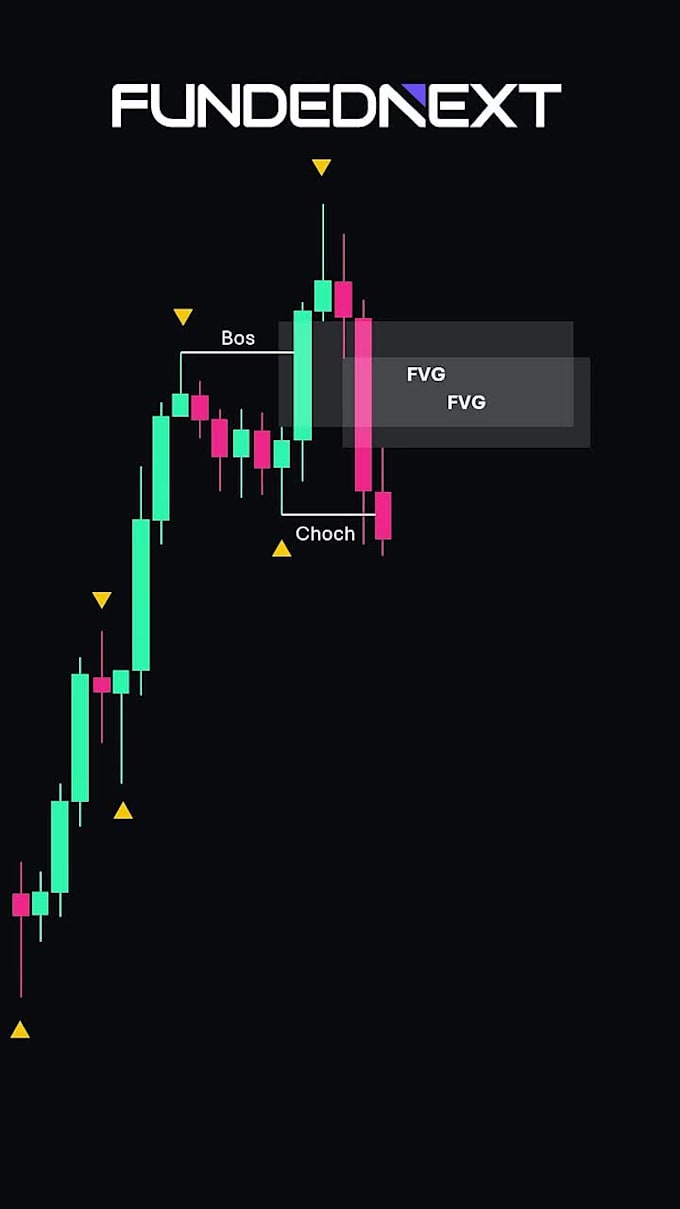 create professional forex education and trading strategy videos