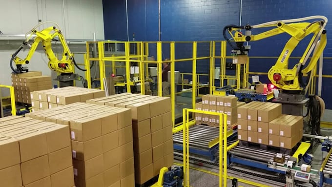 esign robotic palletizing and packaging automation systems