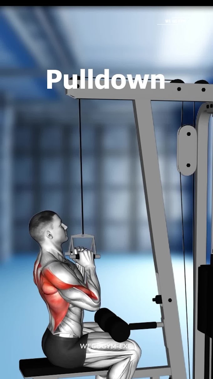 create custom gym workout plans, personal training and athlete programs