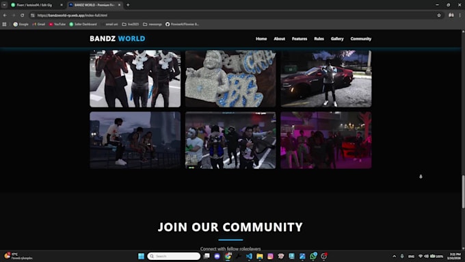 create a professional responsive website for your fivem server